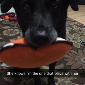 Meet your Posher, Tami